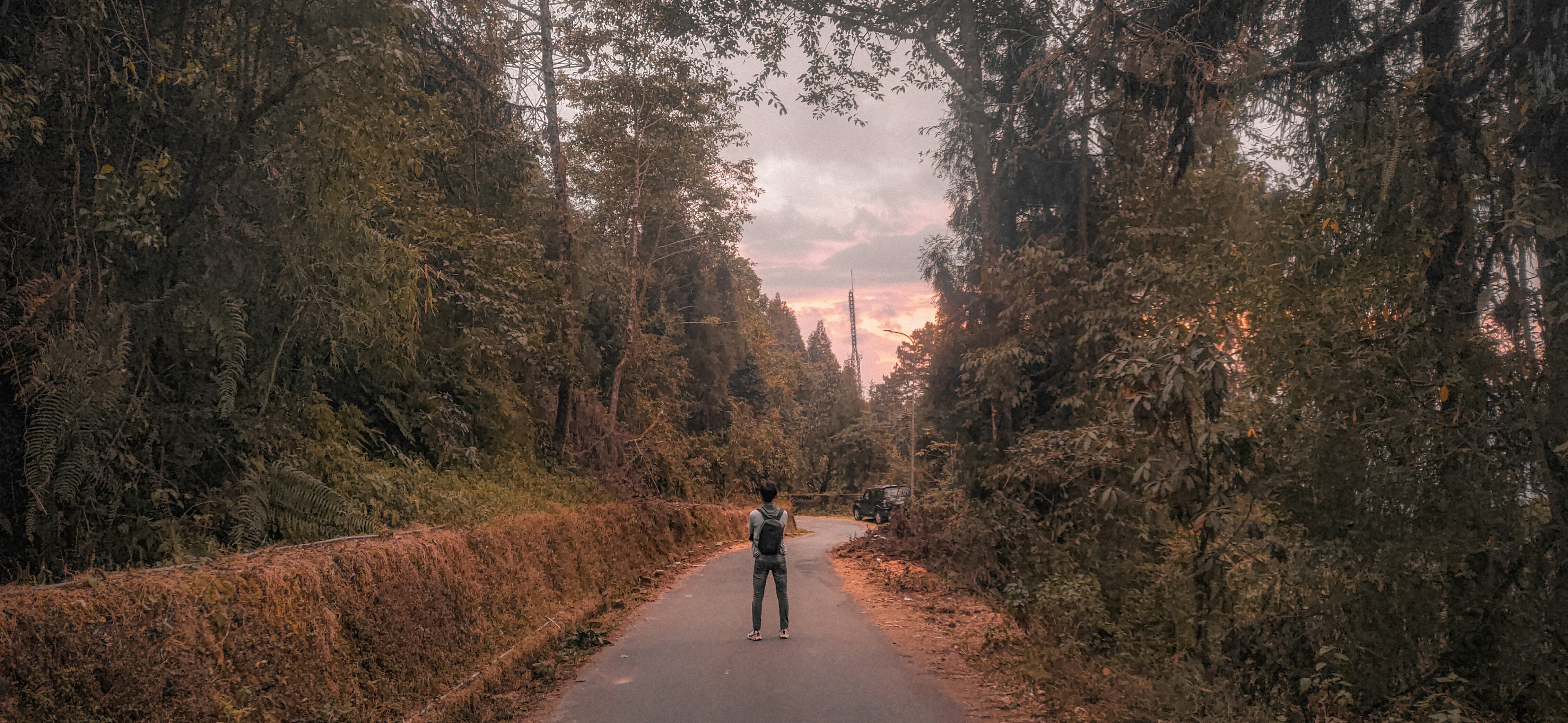 a man riding a skateboard down a road surrounded by trees, solo