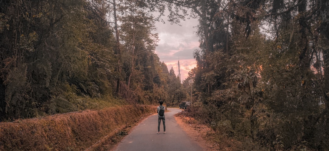 a man riding a skateboard down a road surrounded by trees, solo