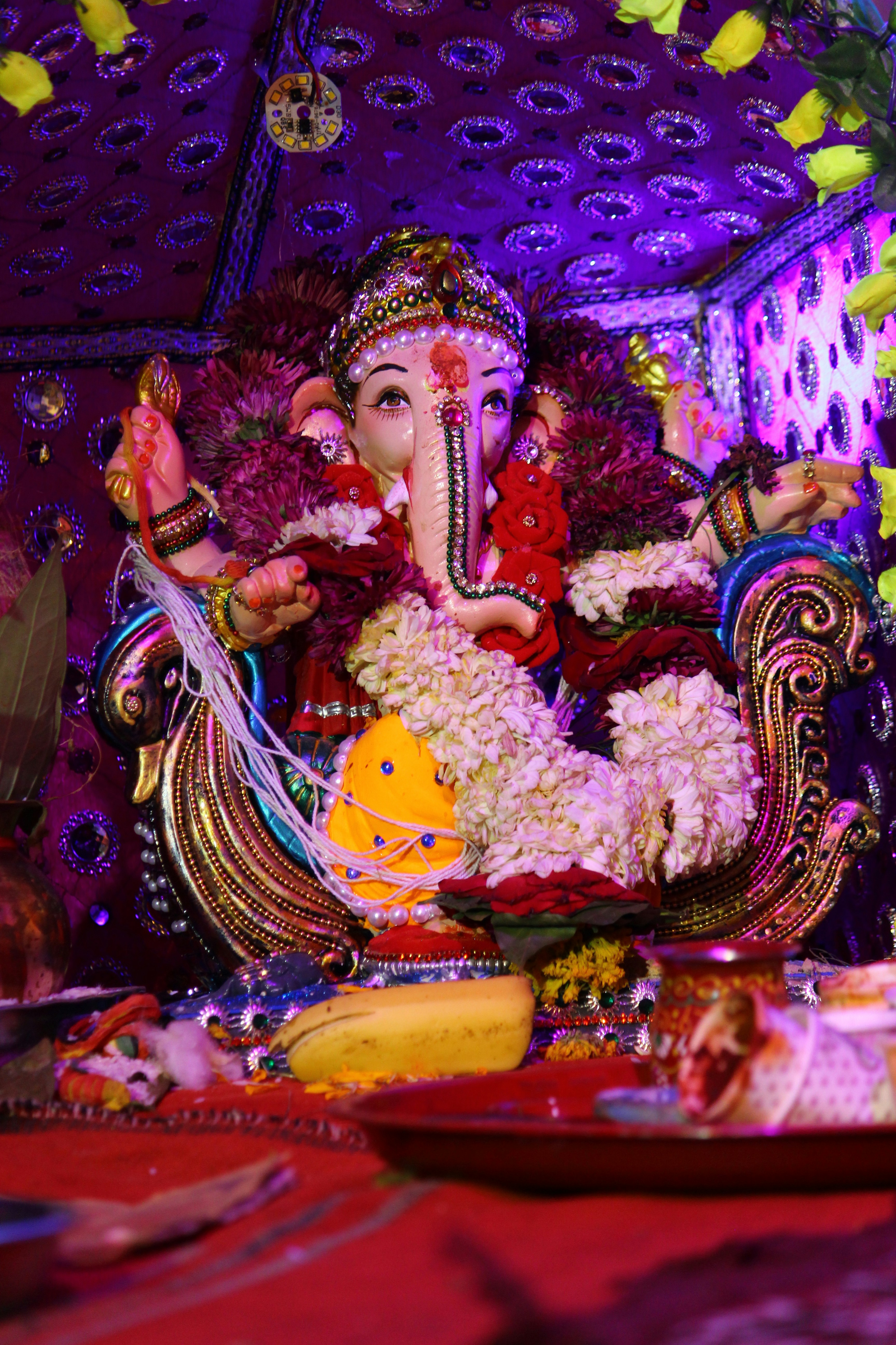 Photo by abhijeet_panchbhai156