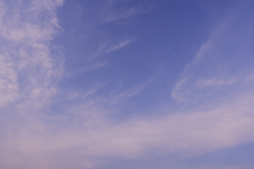 a group of people standing on top of a beach under a blue sky