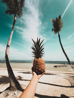 a person holding up a pineapple on a beach
