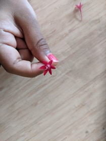 Hands with beautifully manicured nails holding a soft flower petal.