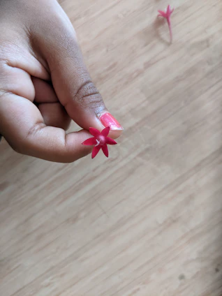 A hand with pastel pink nails holding a delicate flower