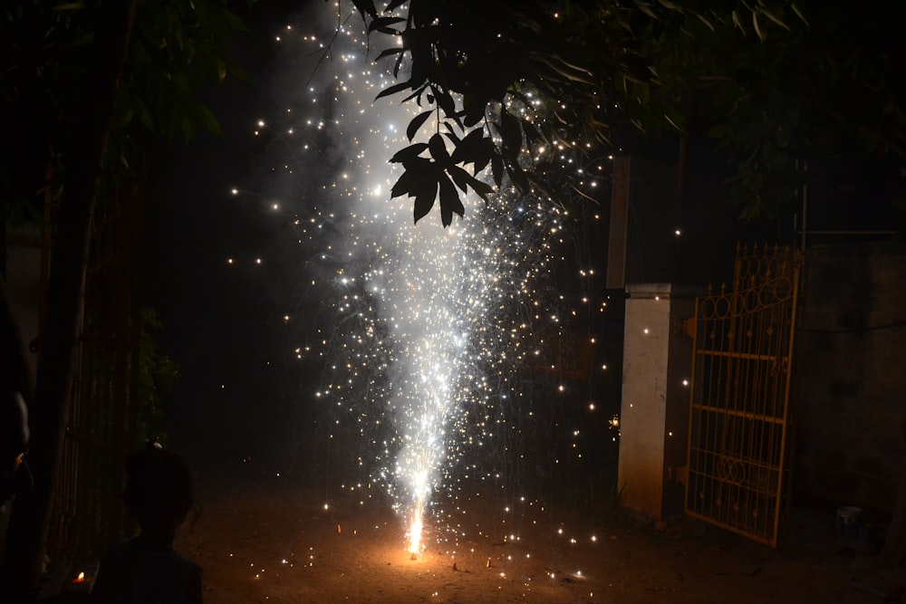 a large fireworks is lit up in the night sky