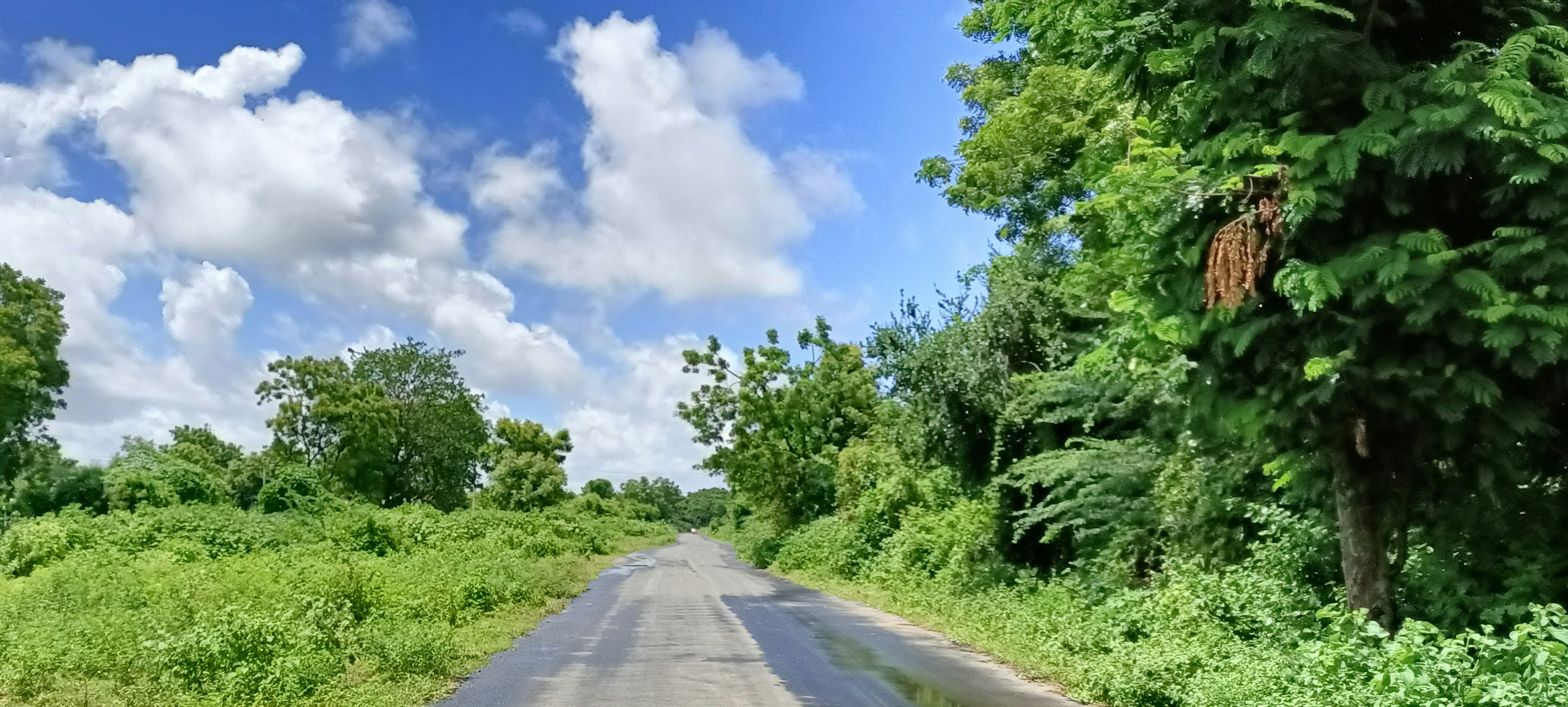 Photo by njpatel99