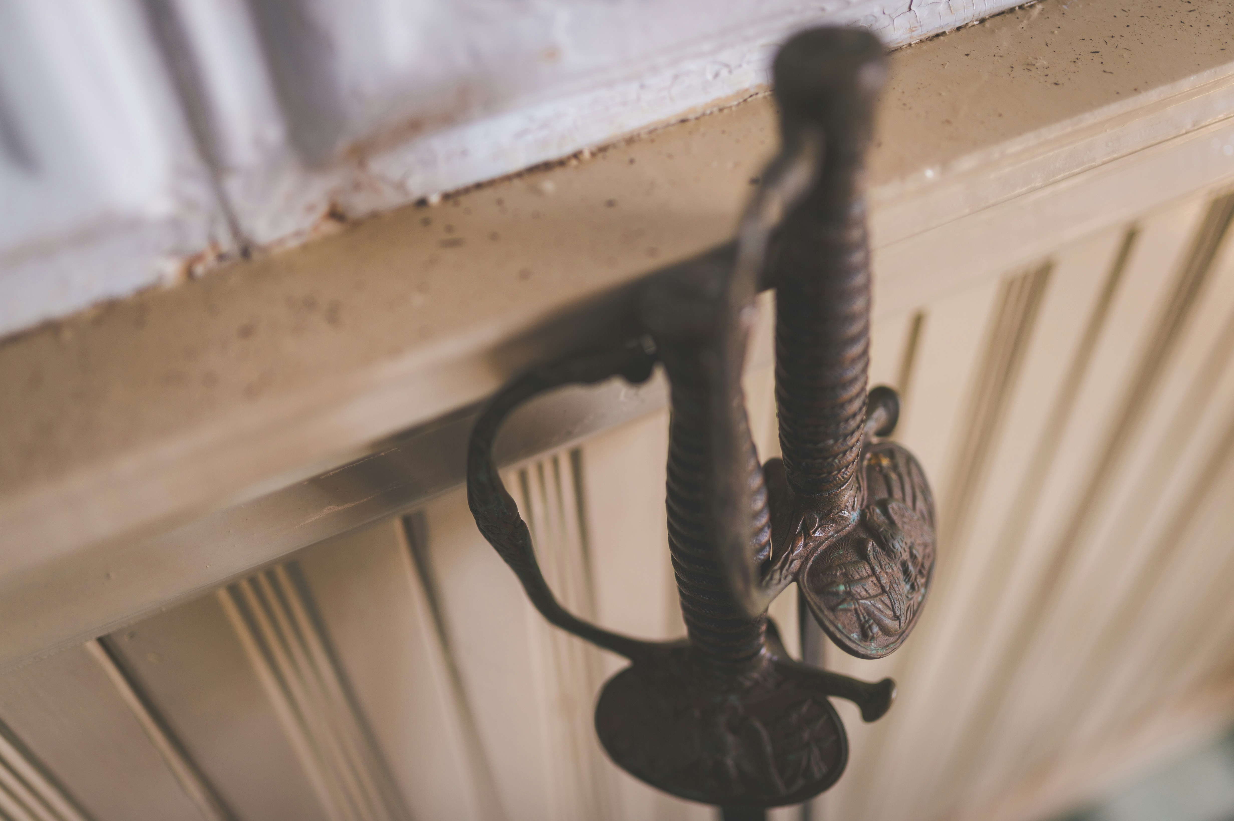 Photo by porkbellysteve