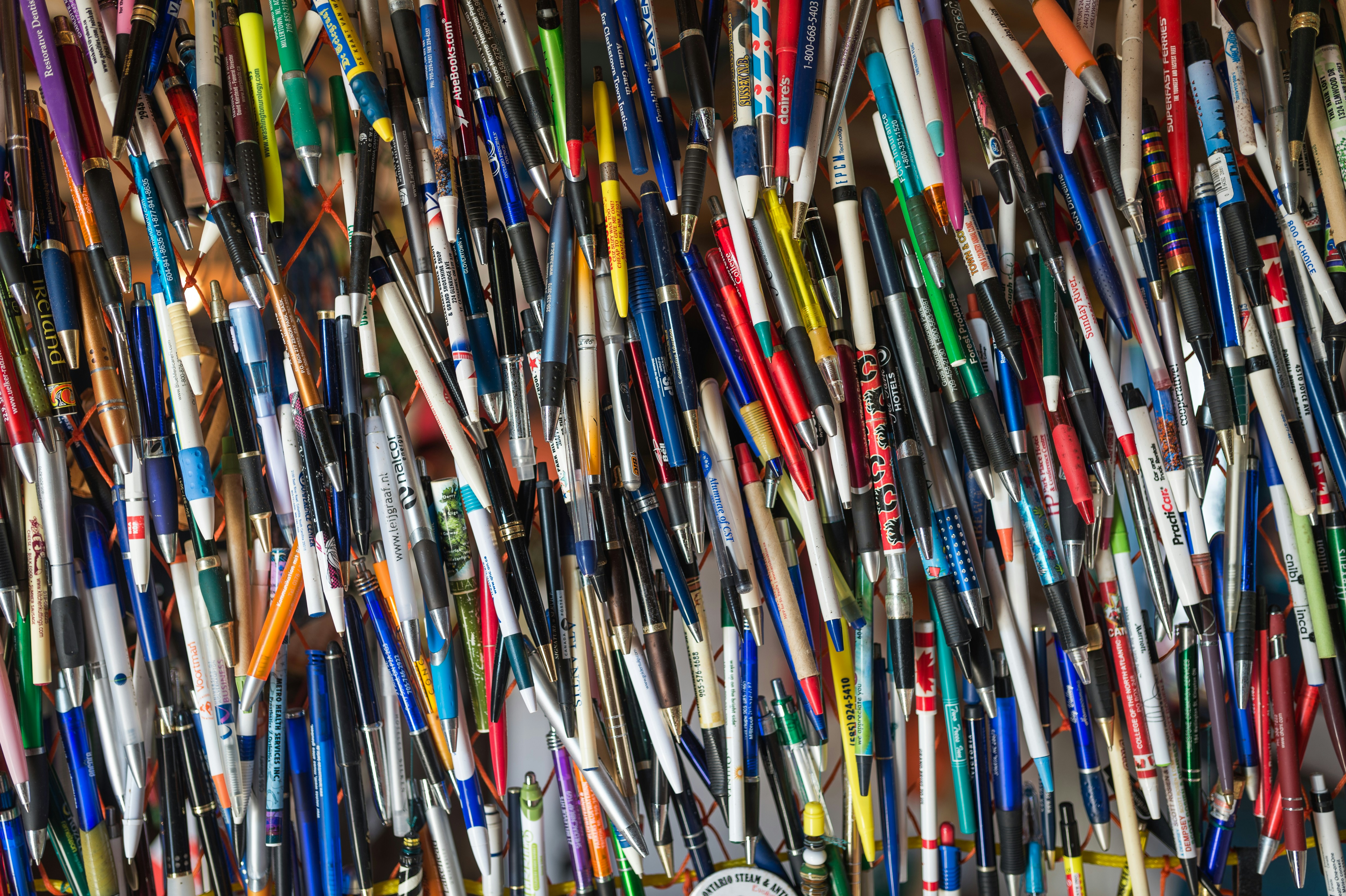 Photo by porkbellysteve