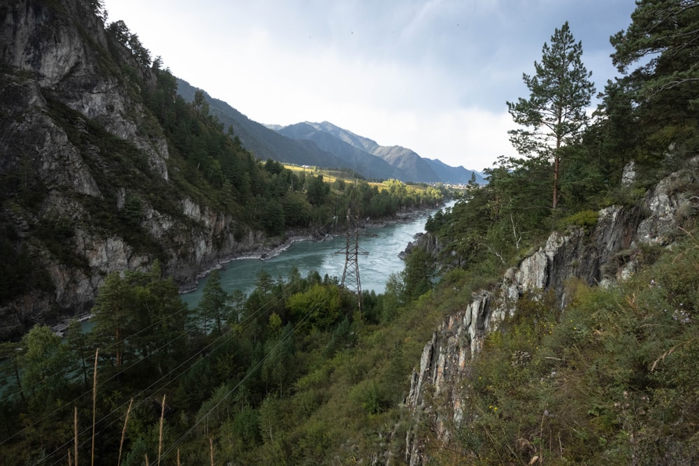 Ein Fluss, der durch einen üppigen grünen Wald fließt