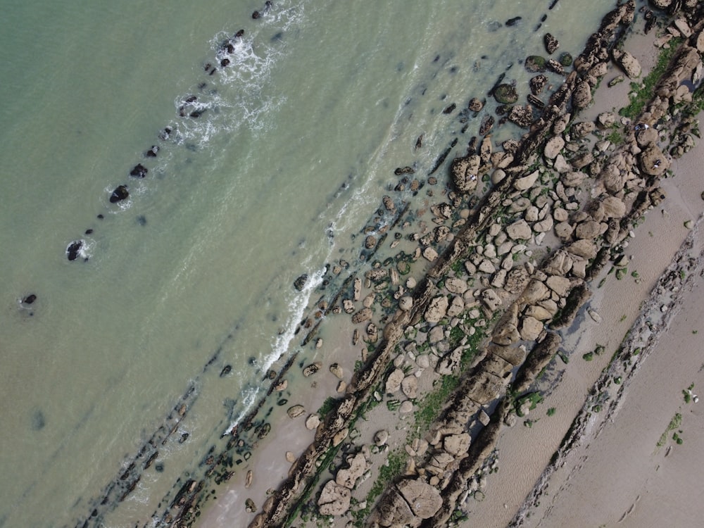 uma vista panorâmica de uma praia e oceano