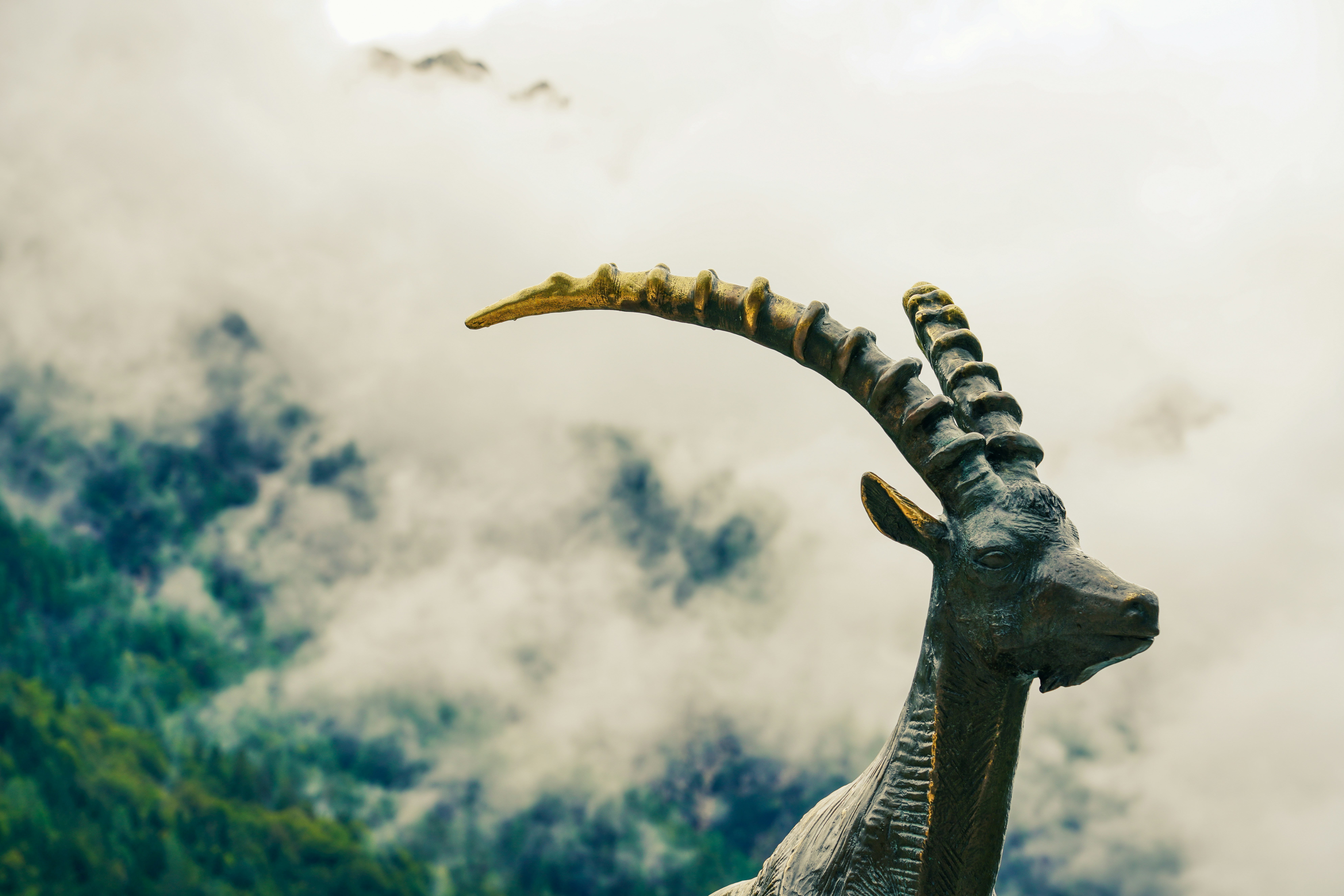 ヤギの像のクローズアップ