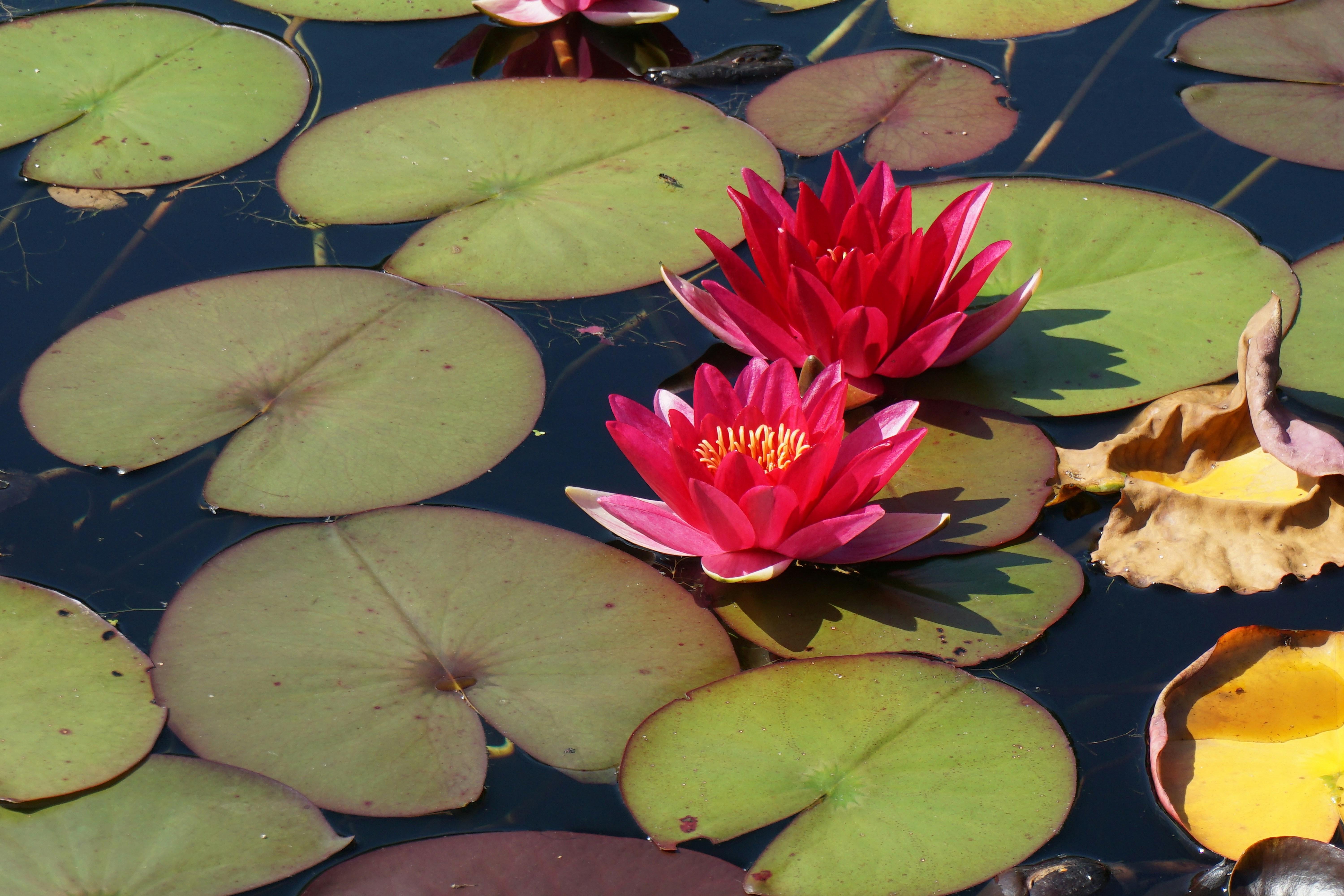 Photo by kokodigital