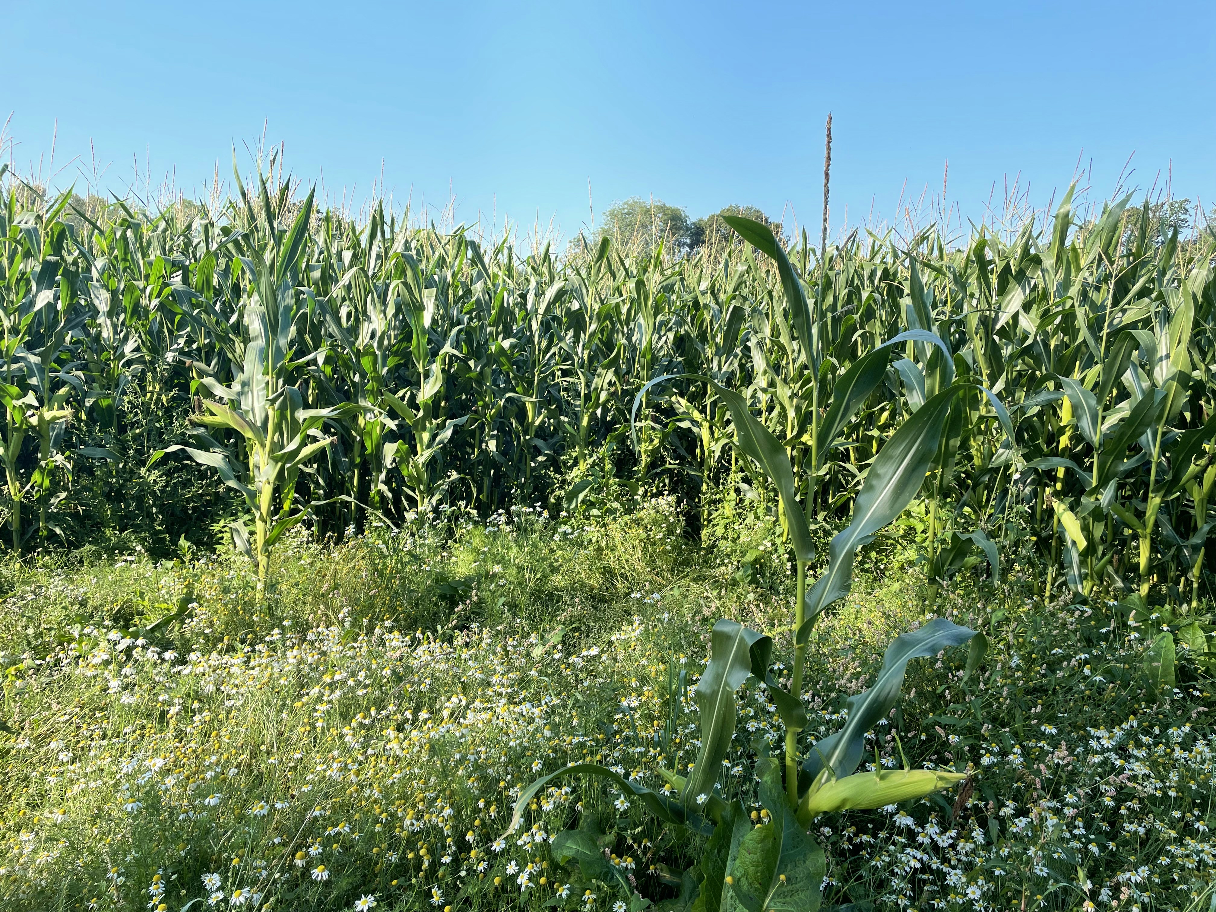 Photo by toryblueyes