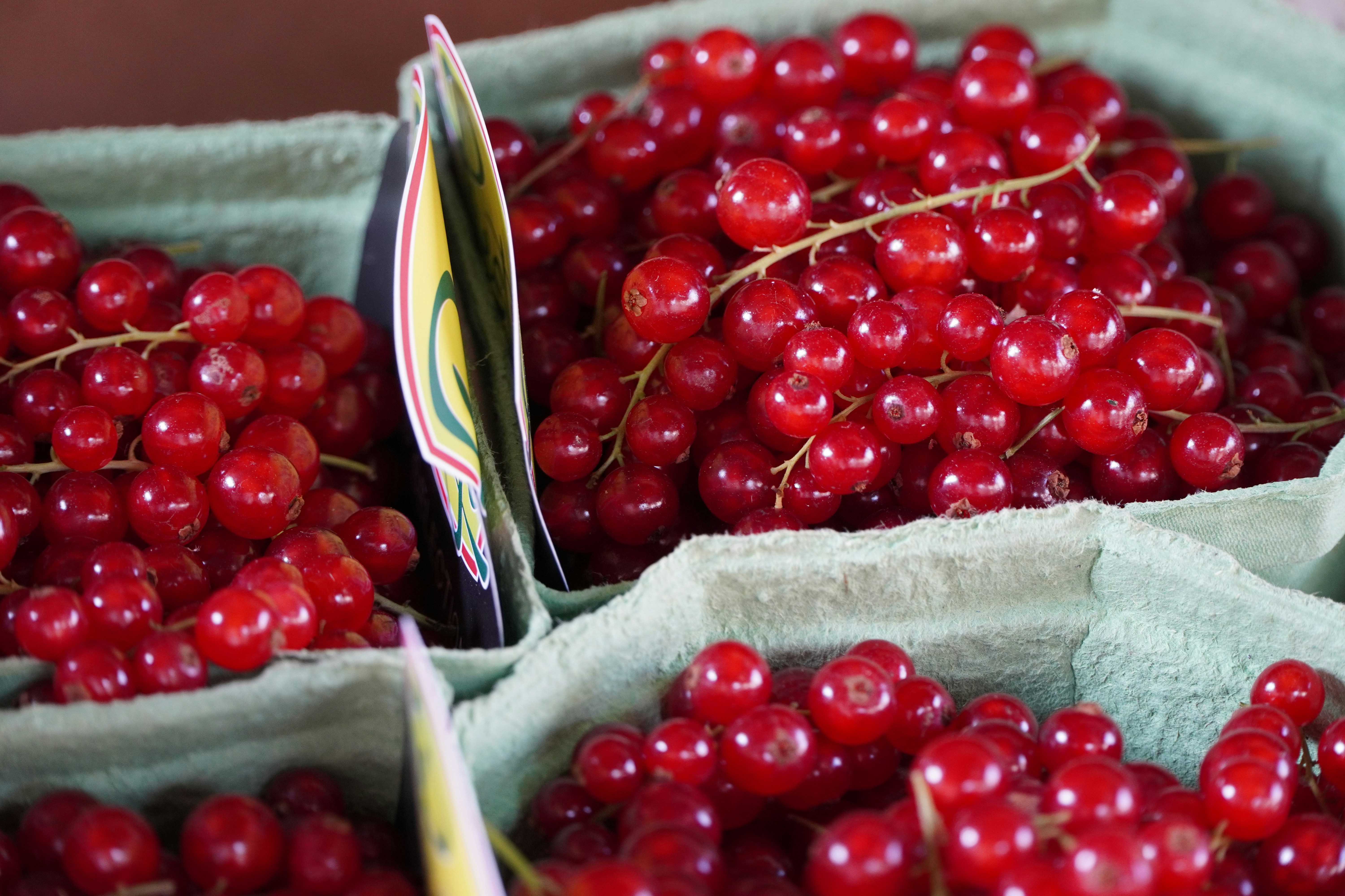 Photo by evibreukers