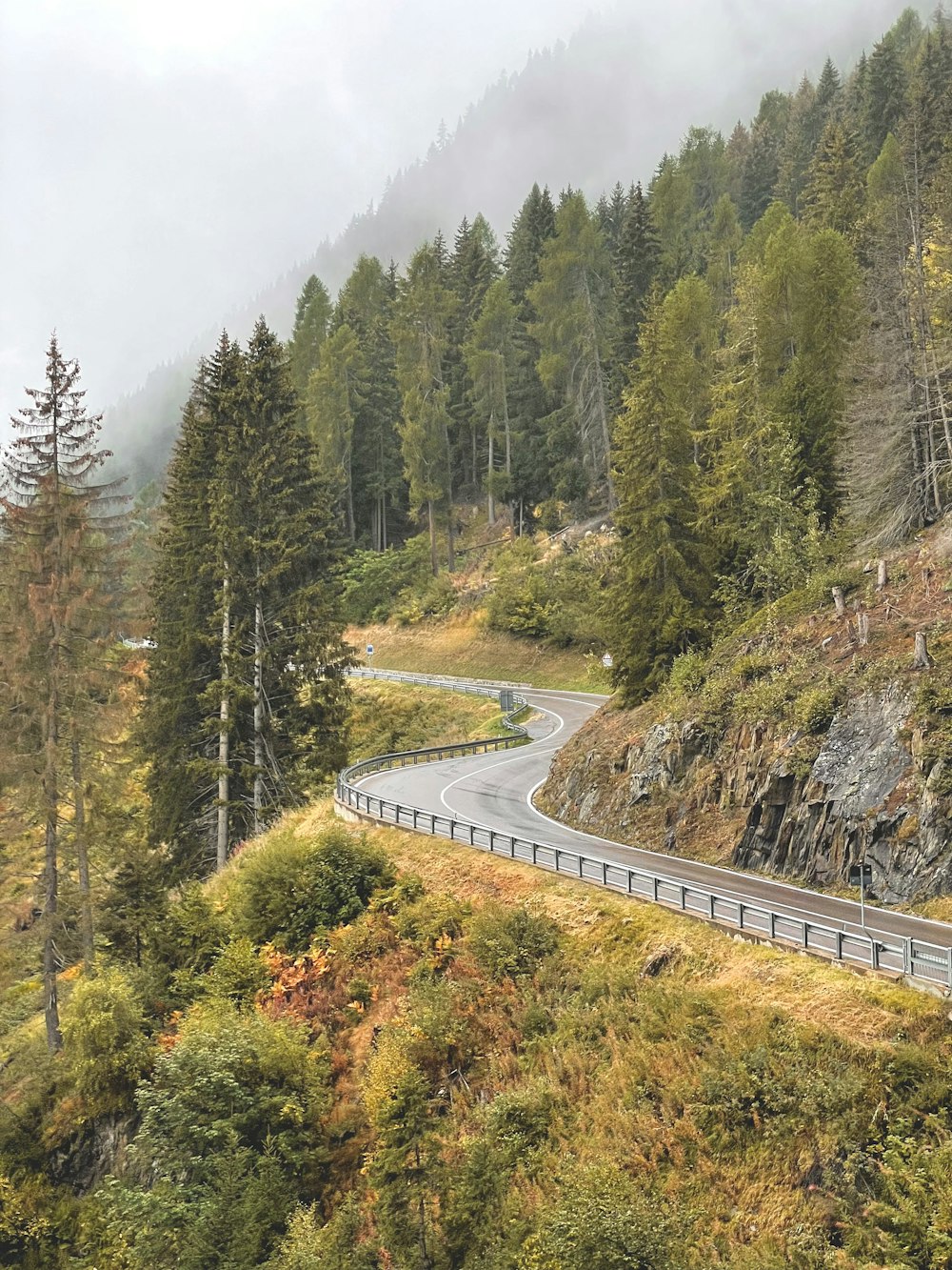 a winding road in the middle of a forest