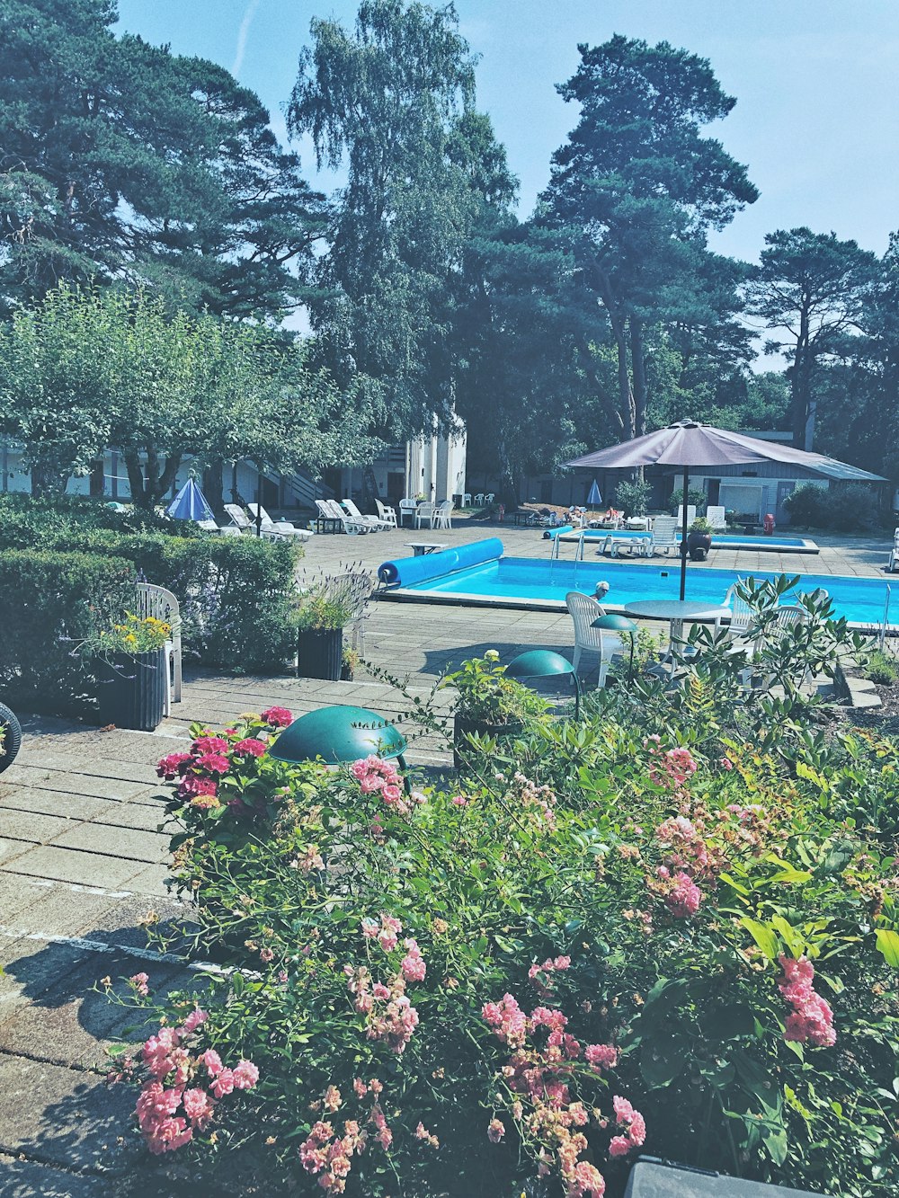 a swimming pool surrounded by flowers and trees