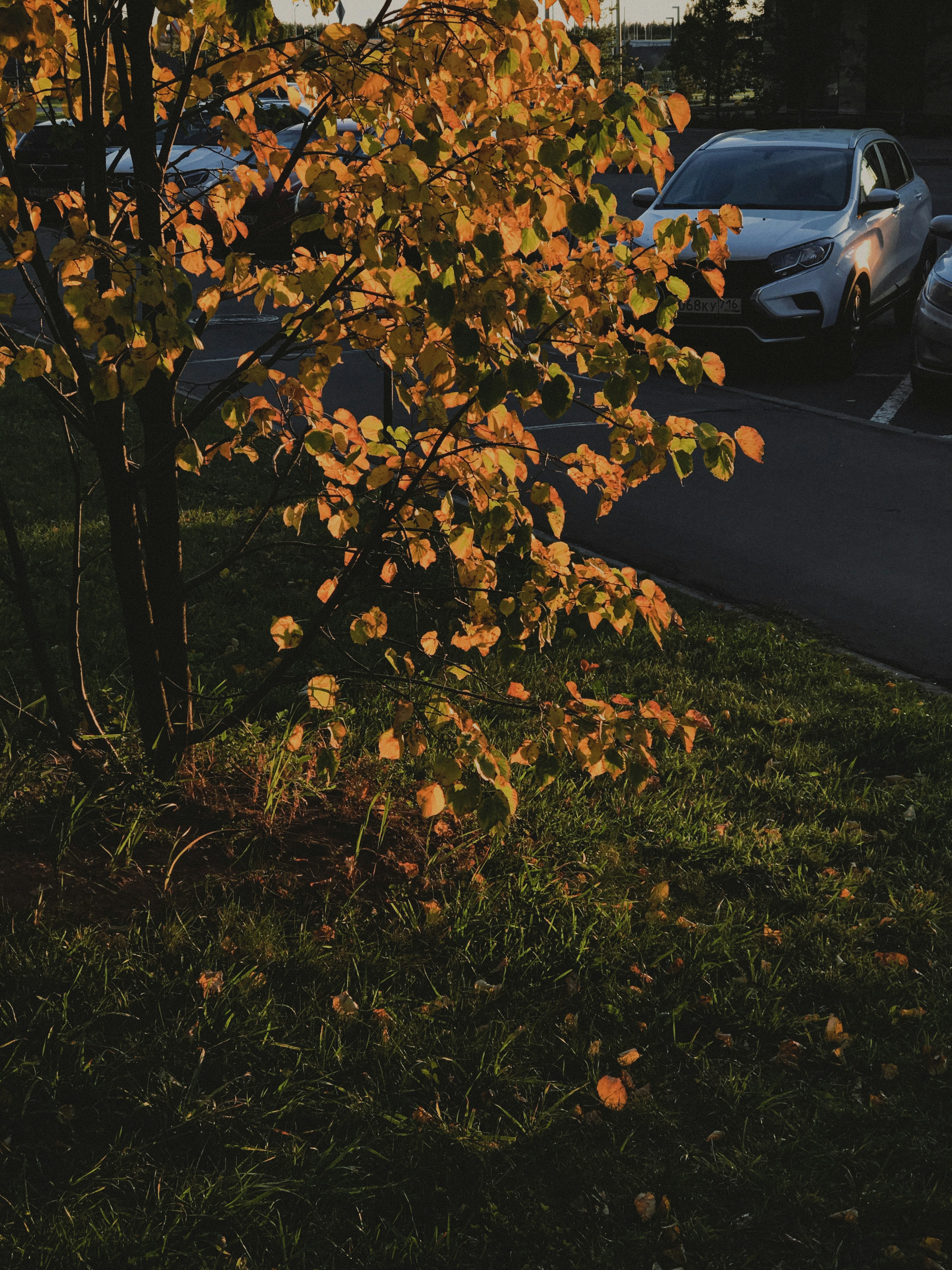Photo by iambeka