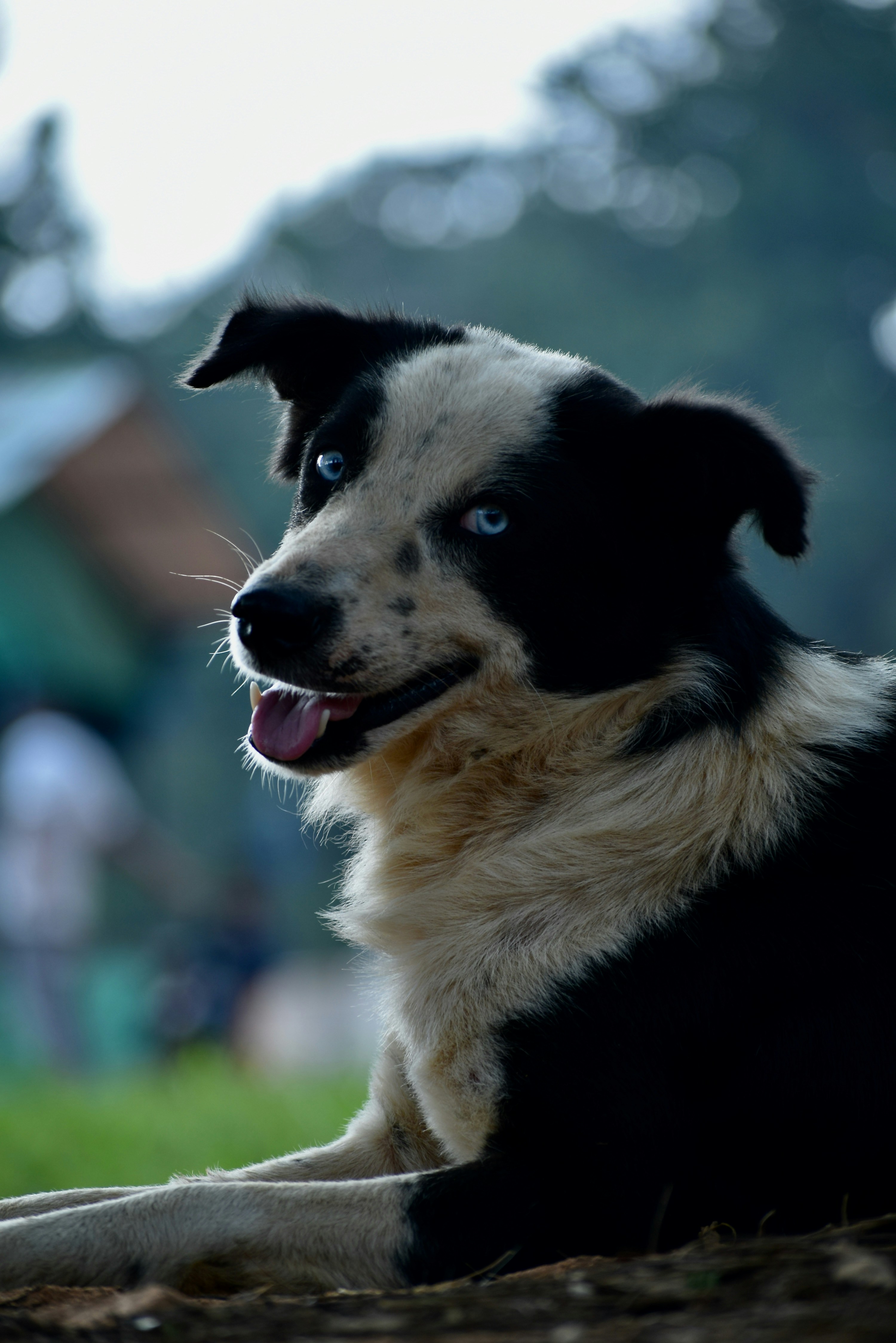 Photo by shutter_goals