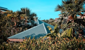 A lush tropical scene with dense green foliage surrounding a triangular-roofed structure. The roof is made of blue tiles that contrast with the vibrant greens of the palm leaves and other vegetation. The sky is clear, creating a bright and serene atmosphere.