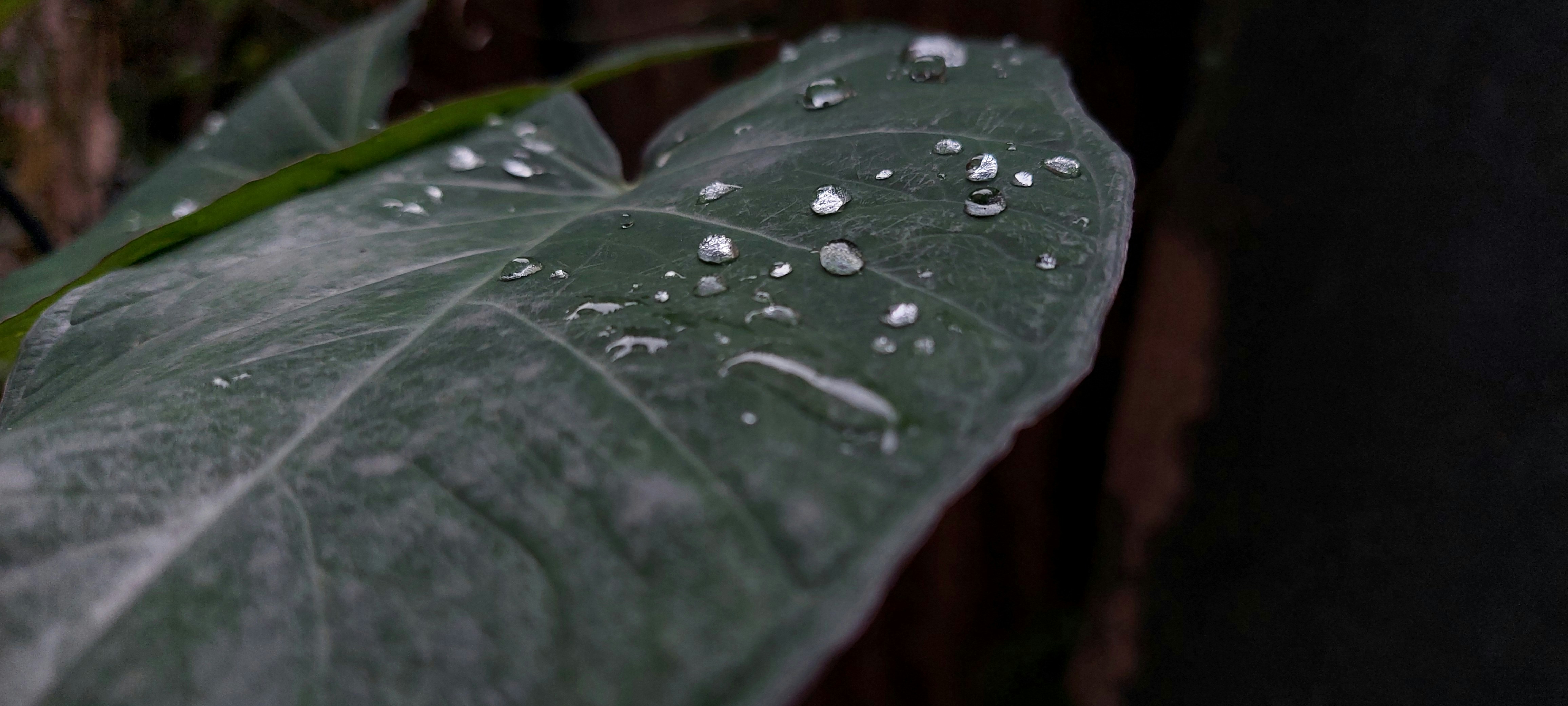 Photo by adityasutar