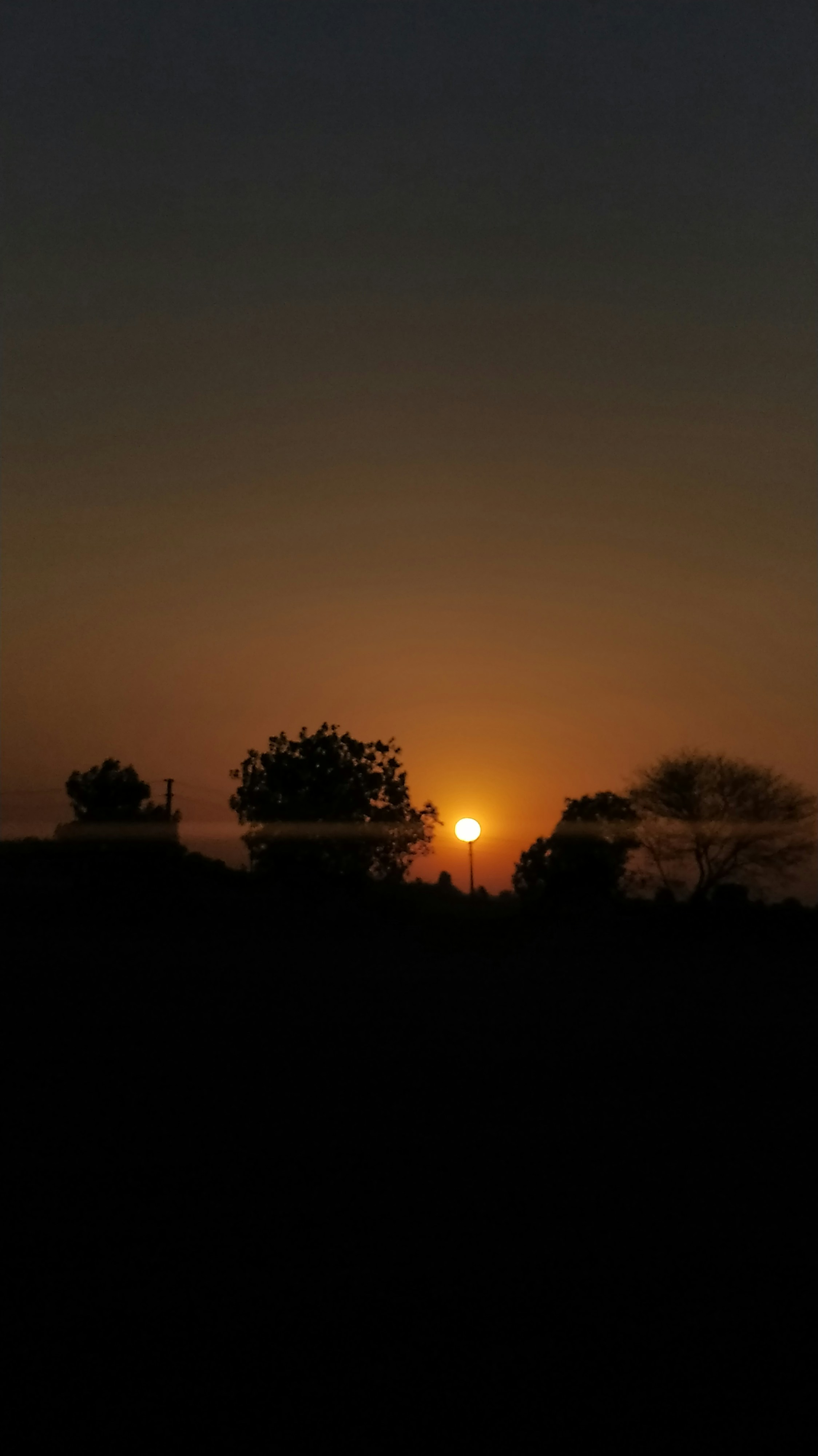 Photo by krishsavani