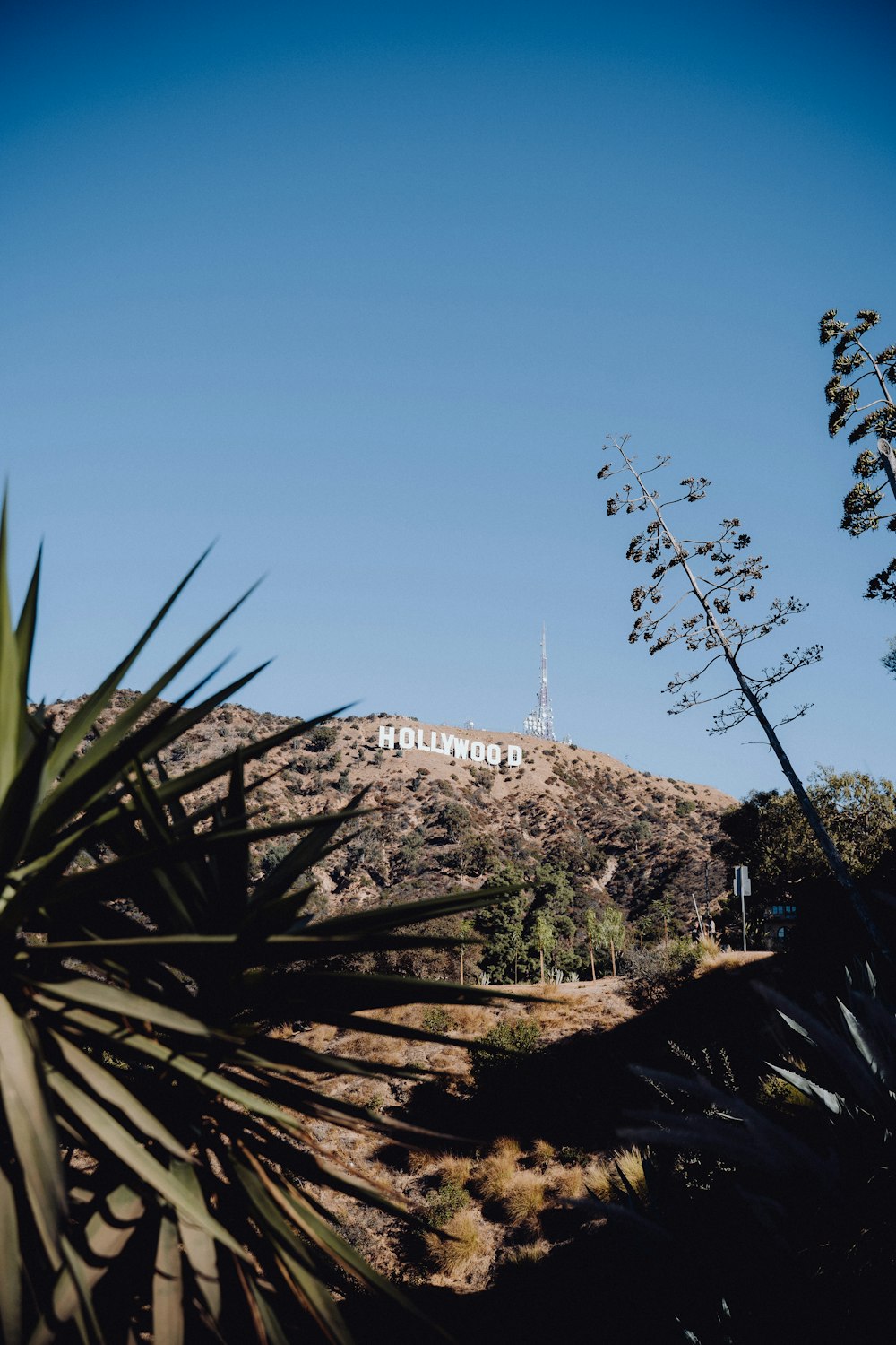 a view of the hollywood sign from a distance
