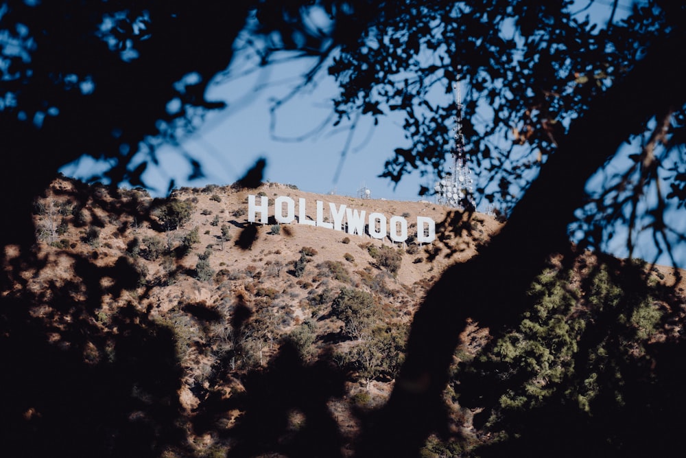 Das Hollywood-Zeichen ist durch die Bäume sichtbar