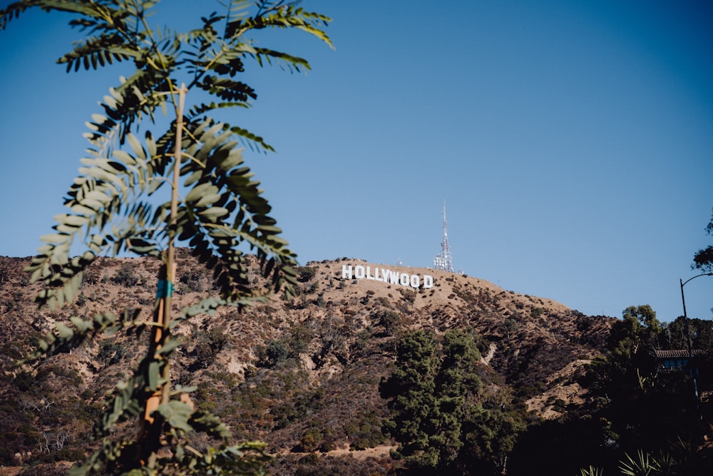 a hill with a radio tower on top of it
