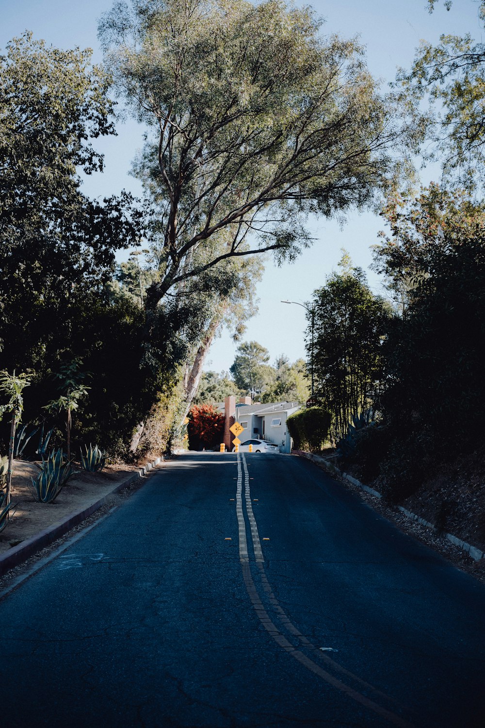 an empty street with trees on both sides