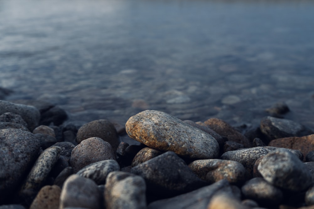a close up of rocks on the shore of a body of water
