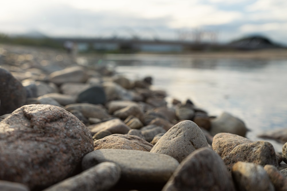 a close up of rocks on the shore of a body of water