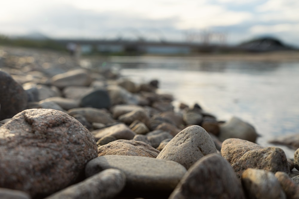 Un primer plano de rocas en la orilla de un cuerpo de agua