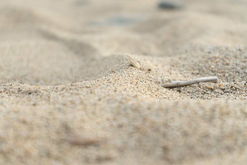Un trozo de metal sentado en la parte superior de una playa de arena