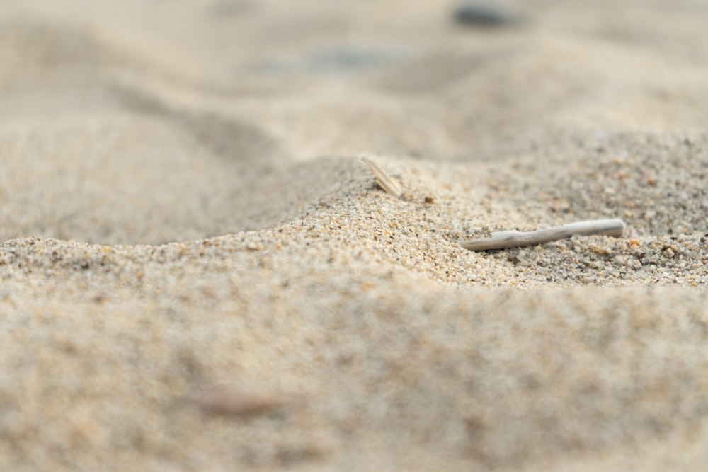 un morceau de métal assis au sommet d’une plage de sable