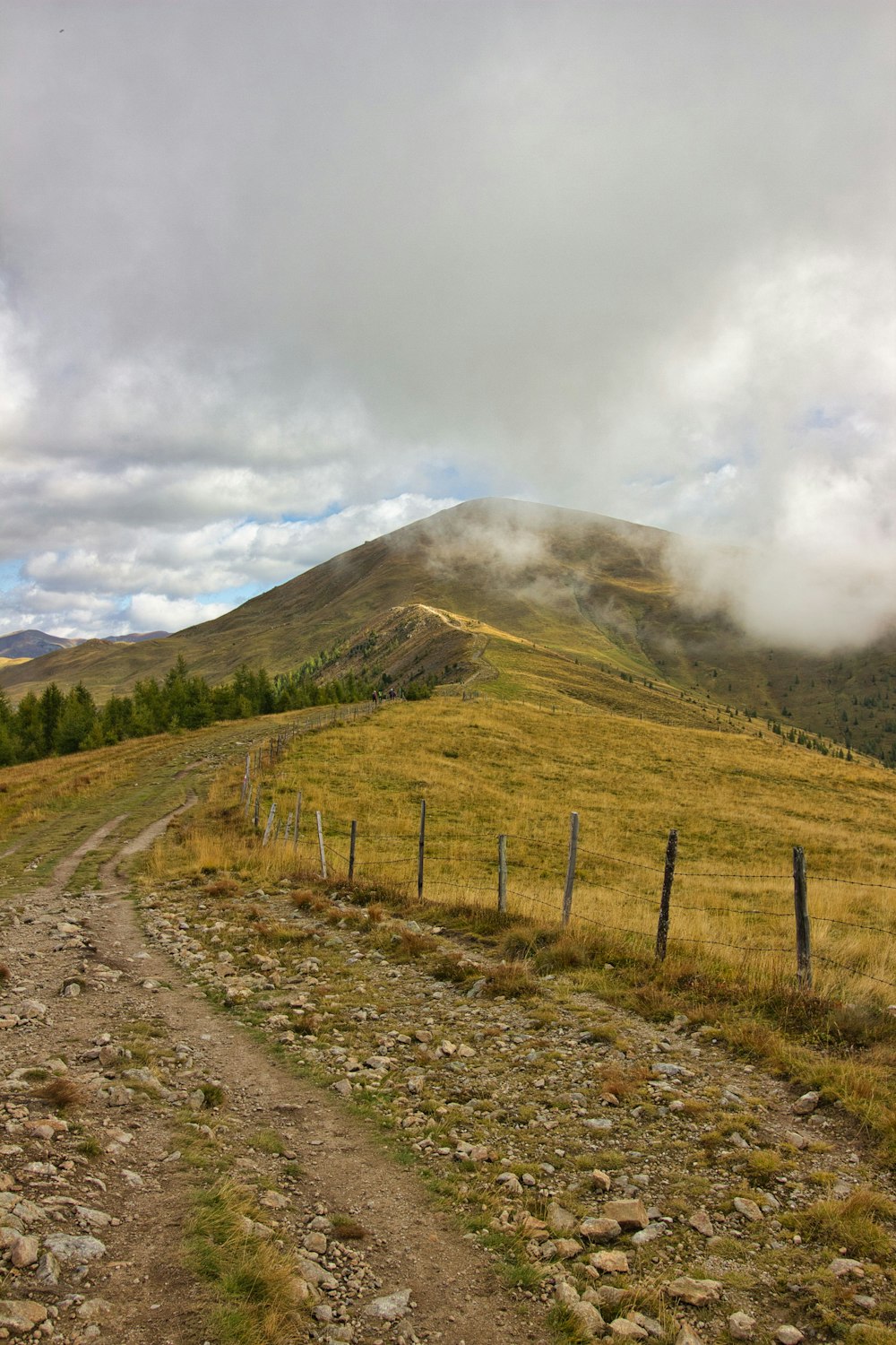 a dirt road leading to a grassy hill