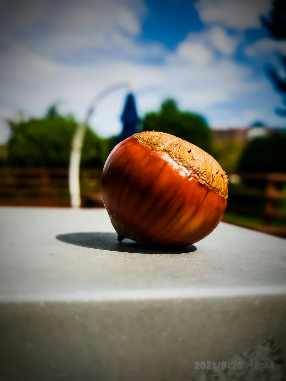 an orange sitting on top of a cement slab