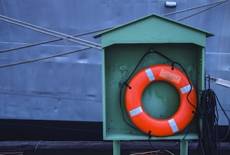 a life preserver in front of a large ship