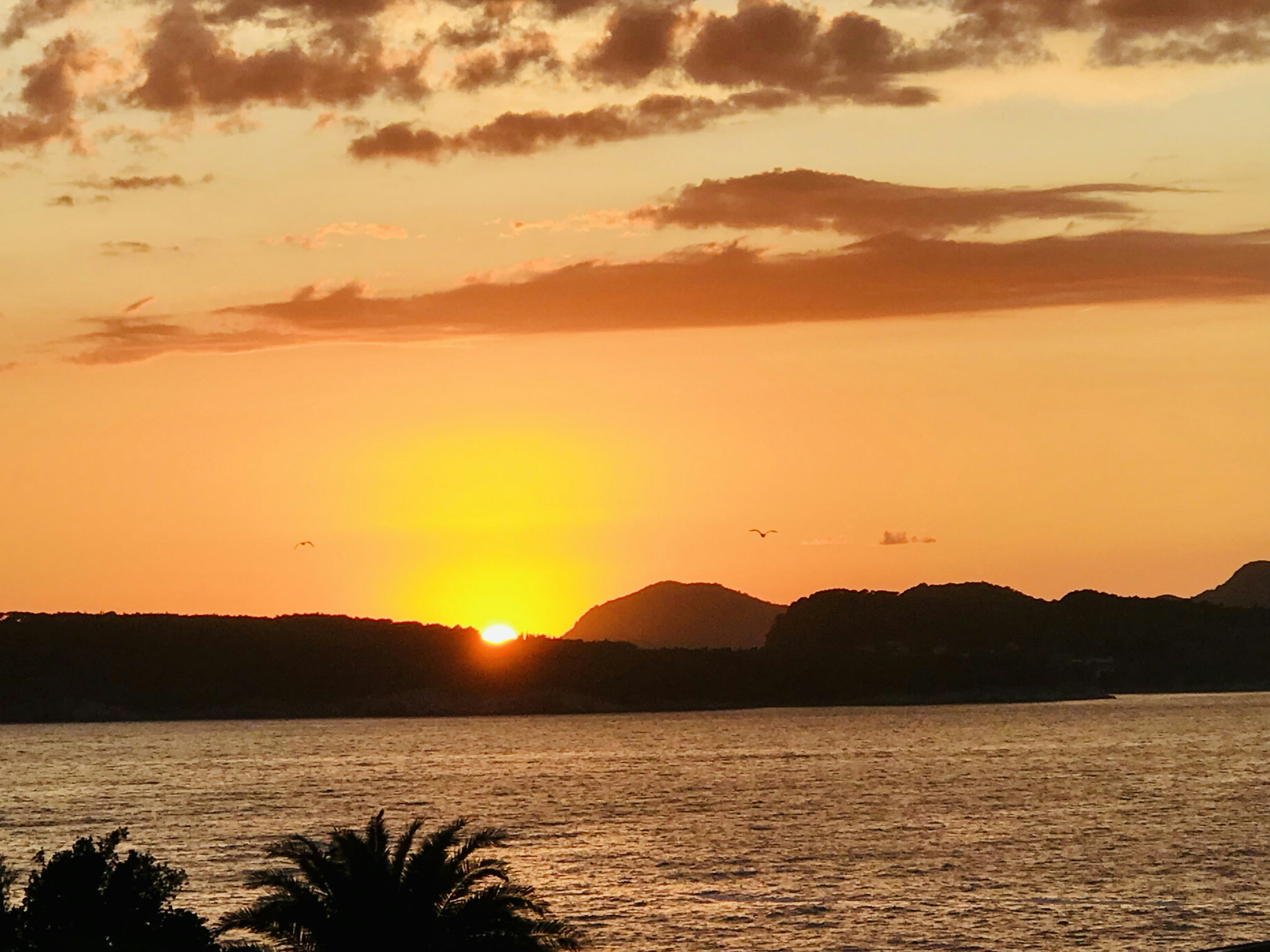 Photo by andywatkins