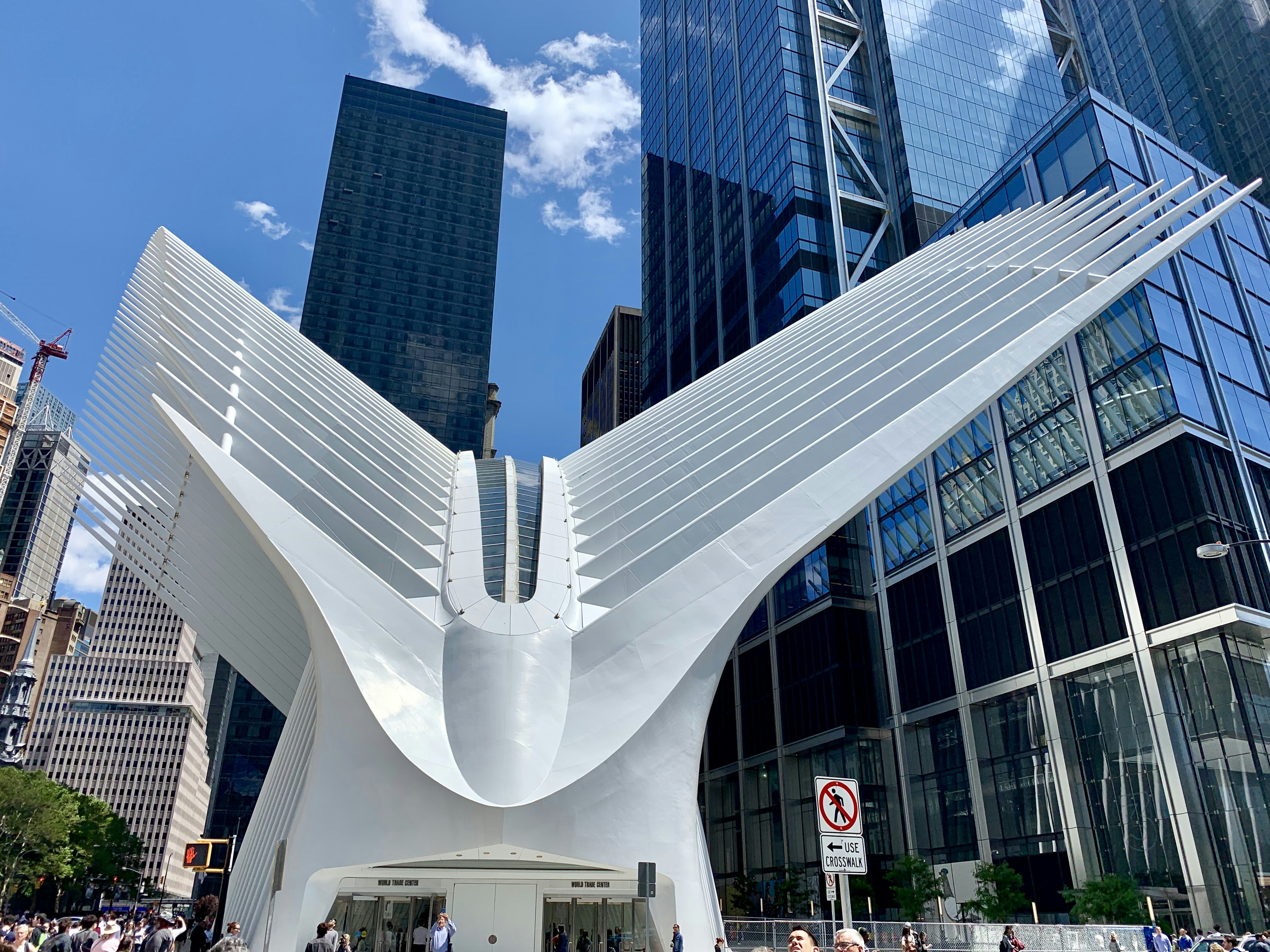 A large white bird sculpture in front of tall buildings