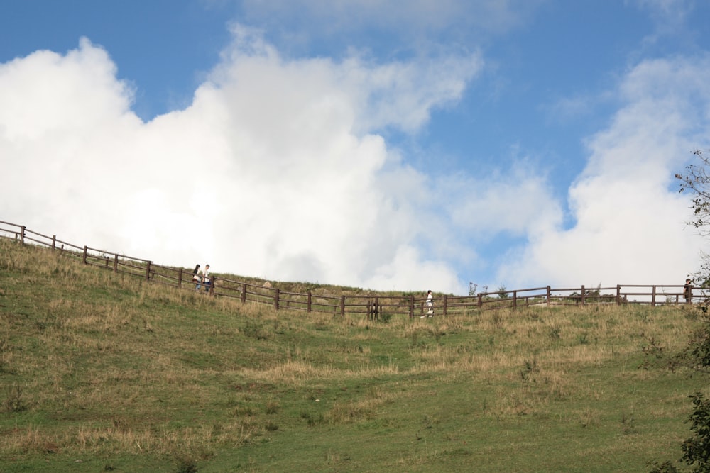 a grassy hill with a wooden fence on top of it