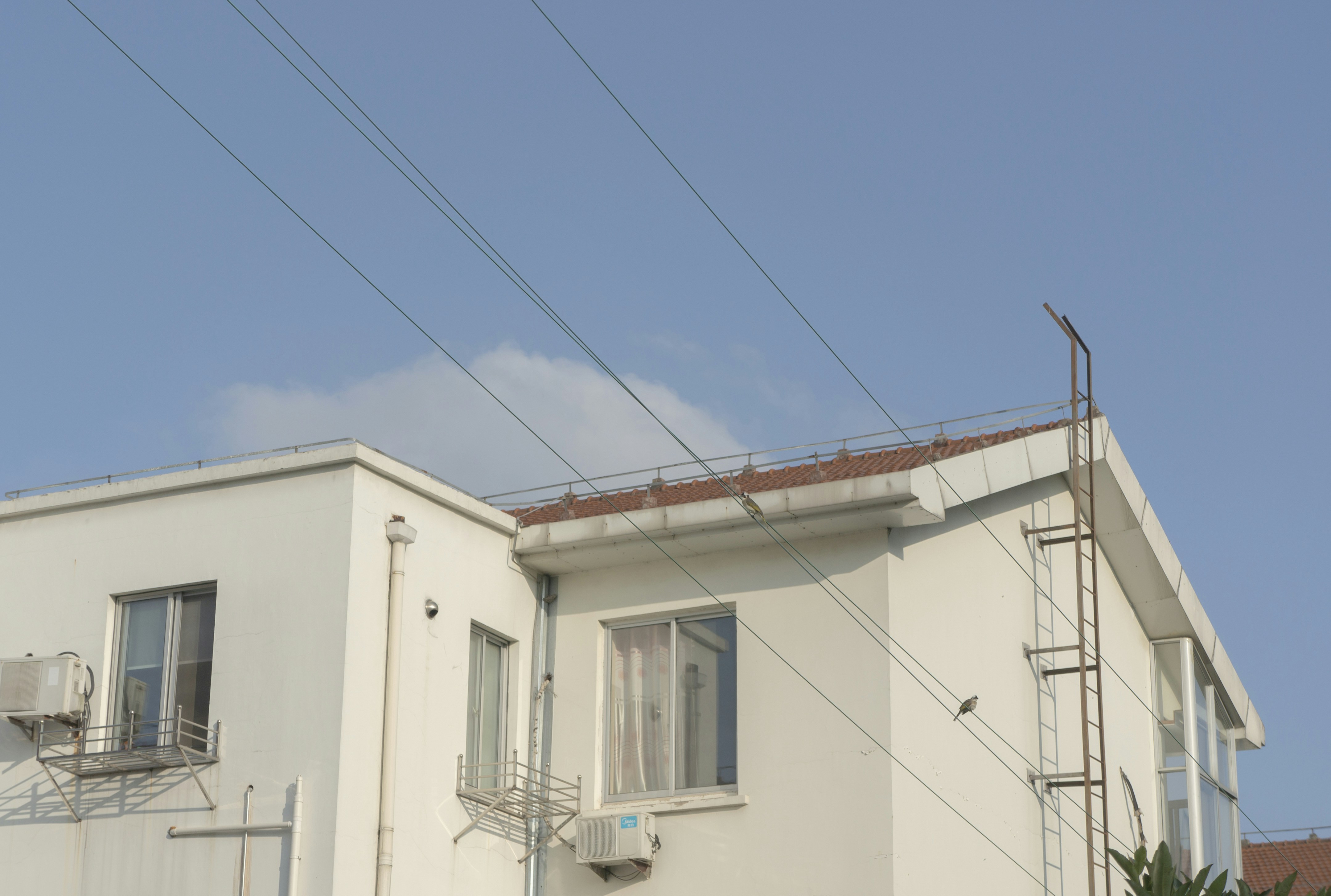 Photo by minecraftinventor