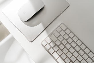 a computer mouse and keyboard