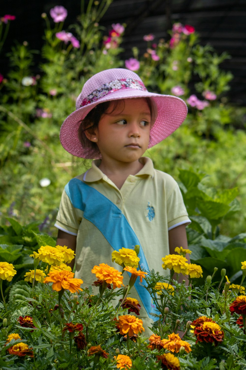 a little girl wearing a pink hat standing in a field of flowers