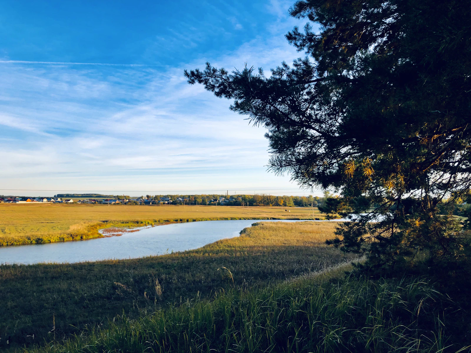 The river meadow, looking west on a June evening