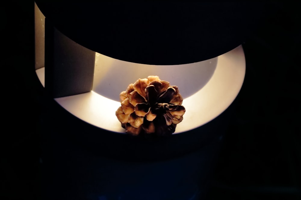 a pine cone sitting on top of a table