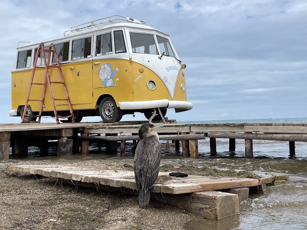 a bird sitting on a dock next to a yellow and white bus