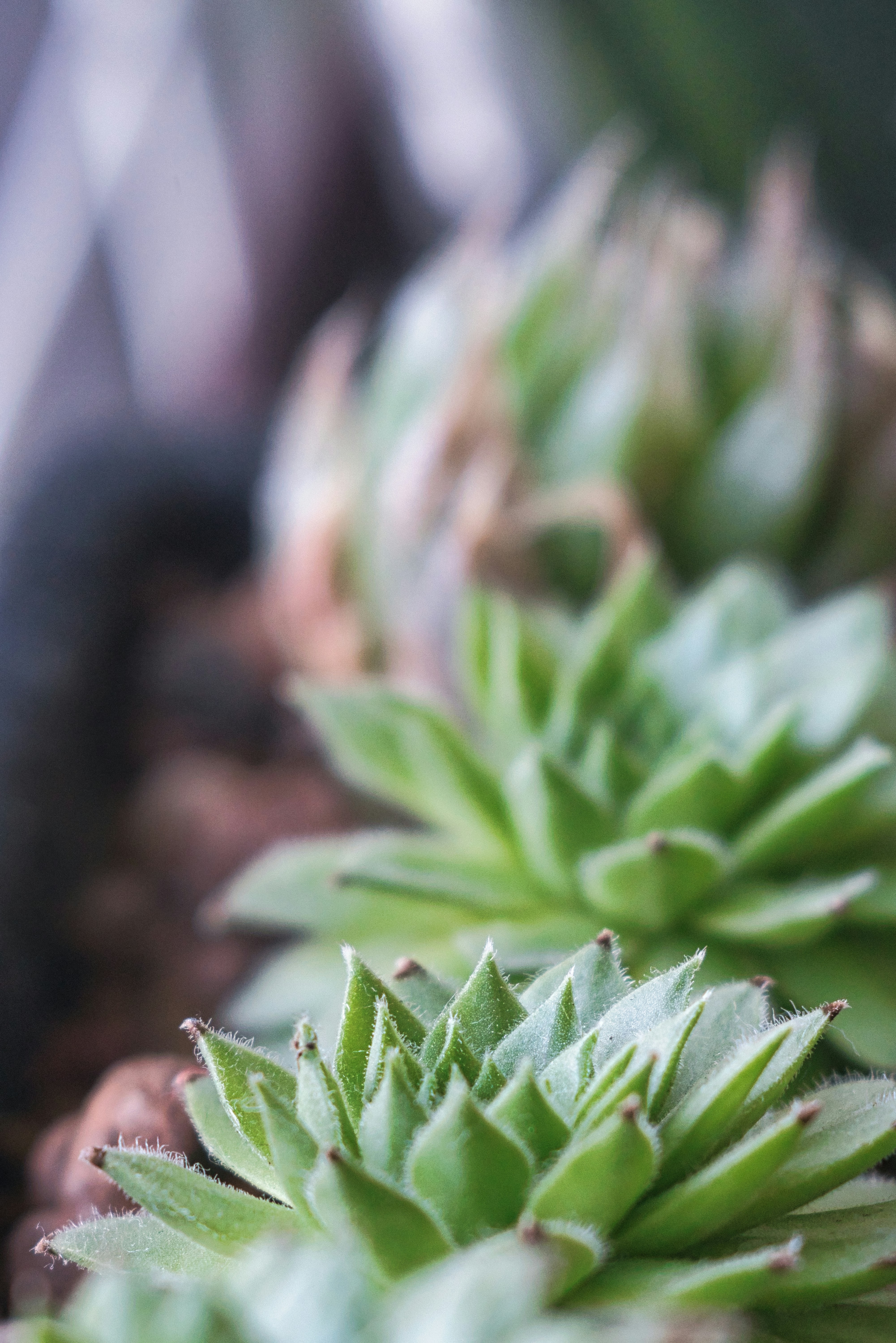 Photo by thomaskinto