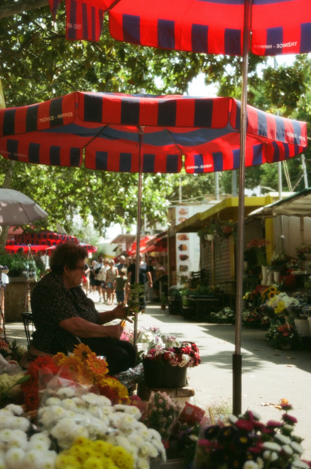 a woman sitting under a red and blue umbrella