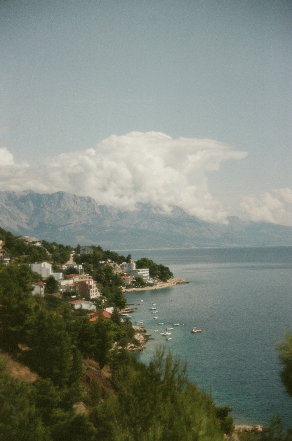 a body of water surrounded by trees and mountains