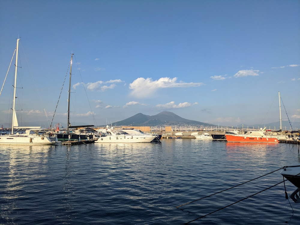 a harbor filled with lots of boats under a blue sky