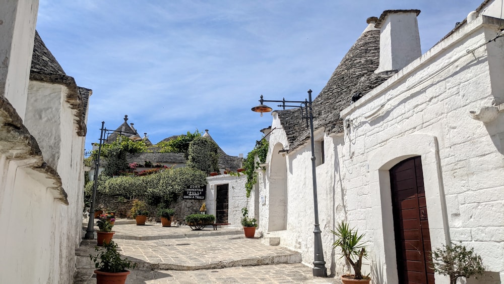 a cobblestone street with potted plants on either side